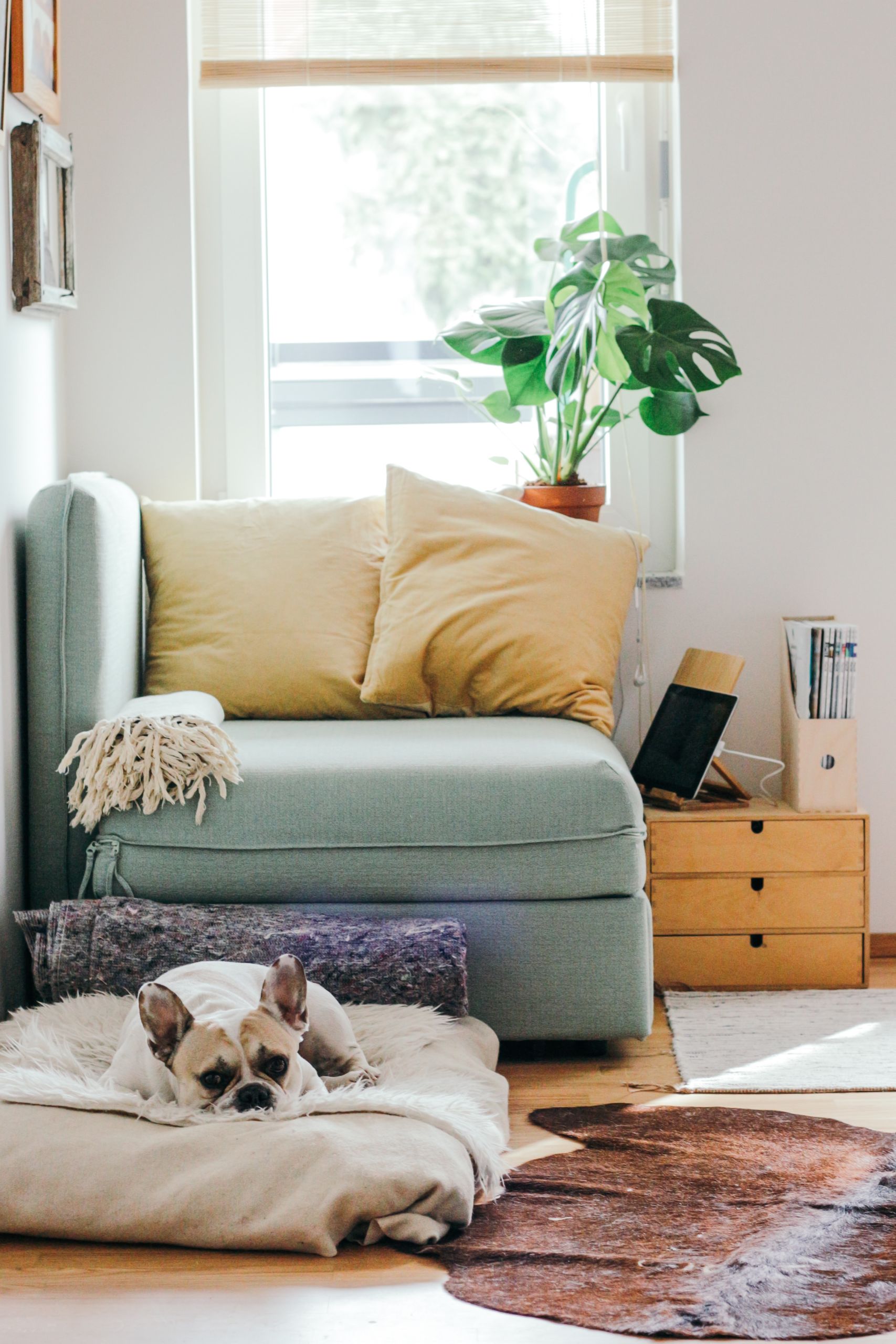 Image représentant l'intérieur d'une maison ressourçante et reposante