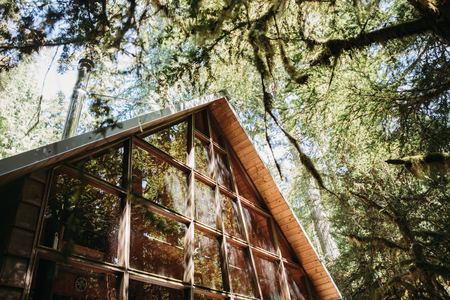 Photo D'une Maison Dans Un Environnent Verdoyant Avec La Nature Qui Se Reflète Dans Le Vitrage